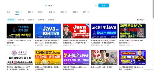 java新手靠谱学习平台和刷题平台推荐